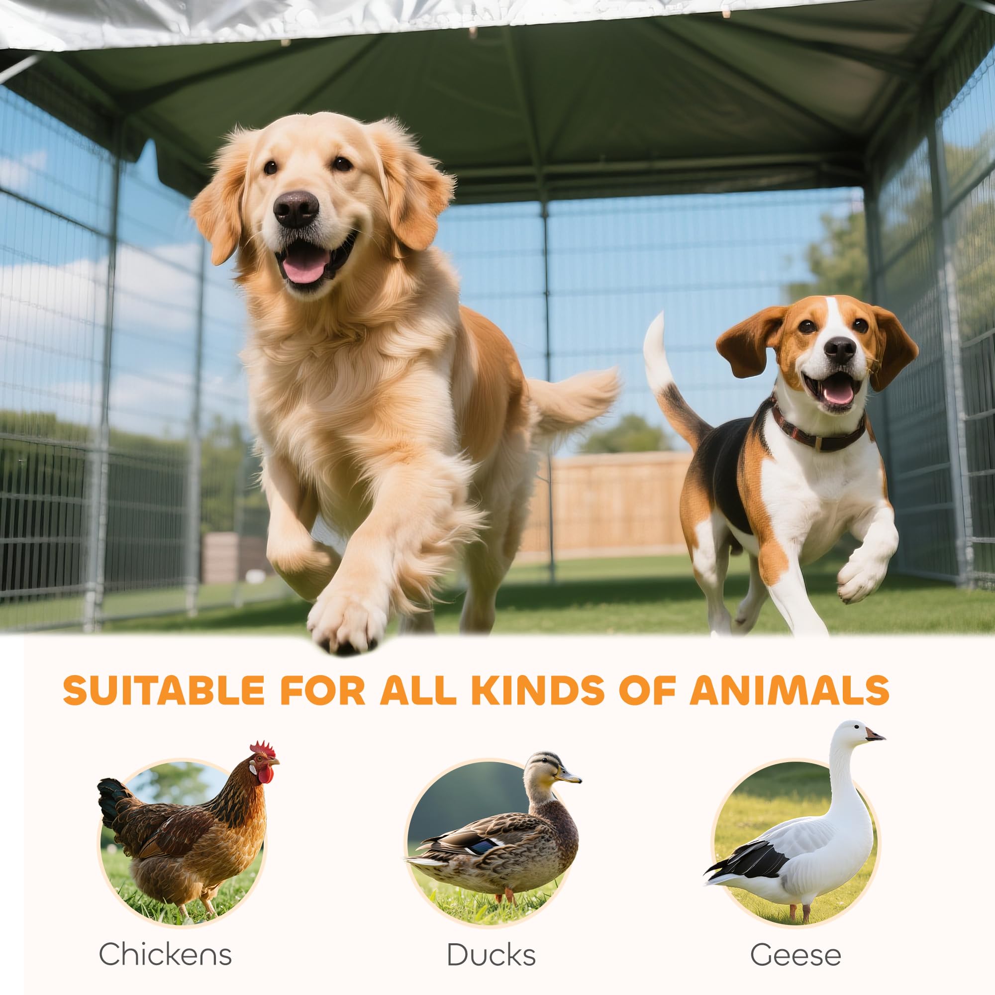 PawHut Outdoor Dog Kennel, Heavy Duty Dog Run Outdoor Fence with Waterproof Cover, Galvanized Chain Link, Secure Lock, for Large Breeds, Chickens, Ducks, 6.5' x 6.5' x 5'