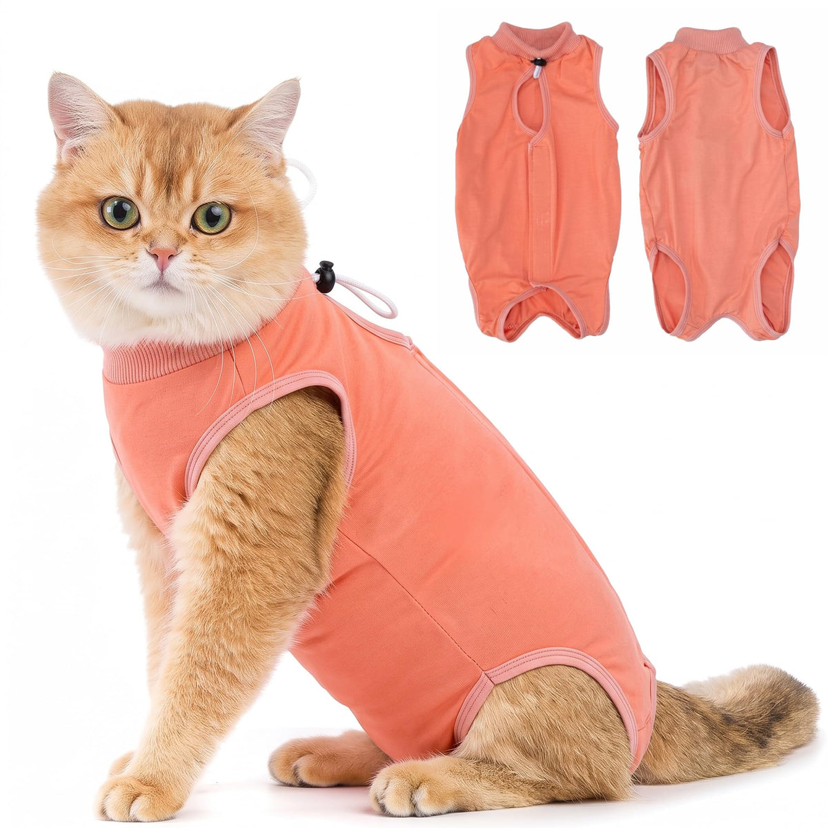 Avont Cat Recovery Suit - Kitten Onesie for Cats After Surgery