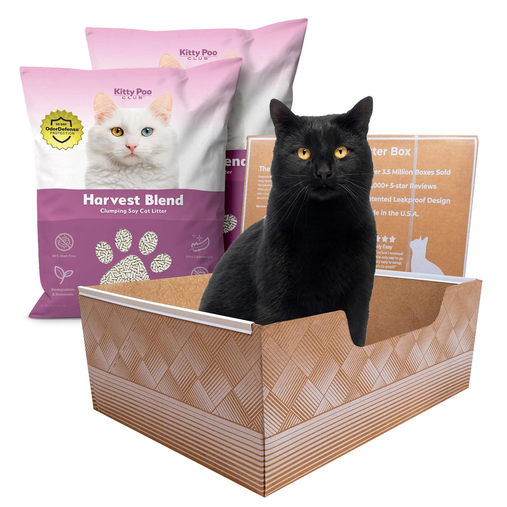 Kitty Poo Club Disposable Cat Litter Box 2-Pack with Soy Litter