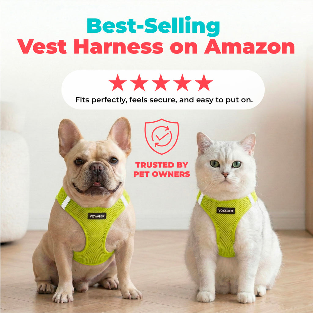 Voyager Step-in Air Dog Vest Harness - Lime Green, XXX-Small