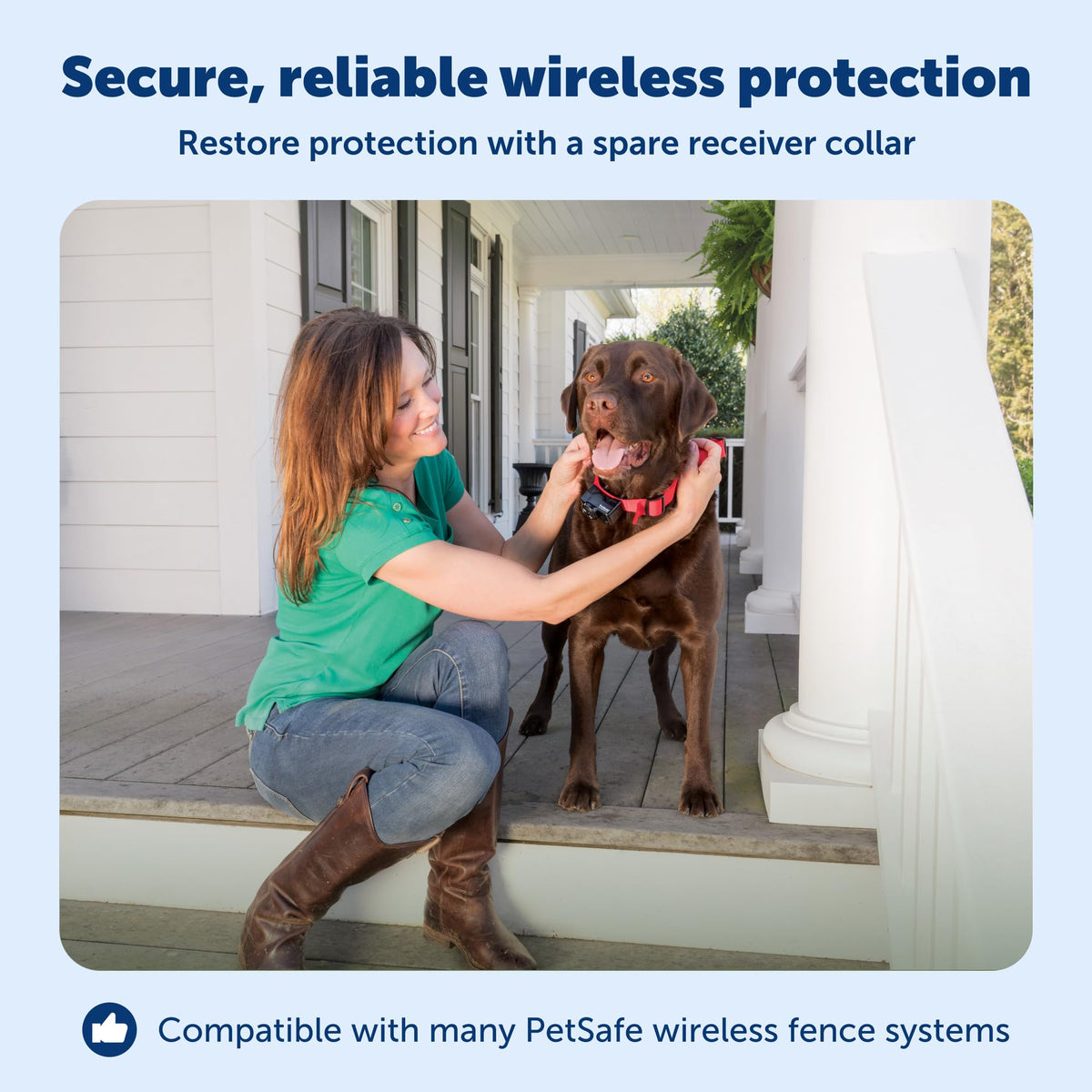 PetSafe Wireless Pet Containment System Collar