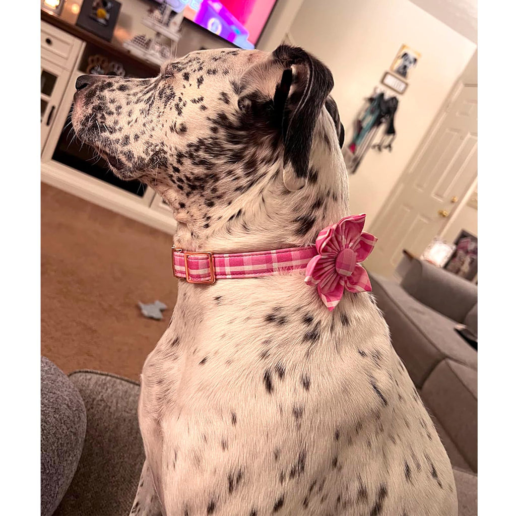Lionheart Glory Cute Dog Collar, Pink Floral Dog Collar with Flower, Soft Adjustable Pet Collar for X-Small Dogs Puppy Girl/Boy