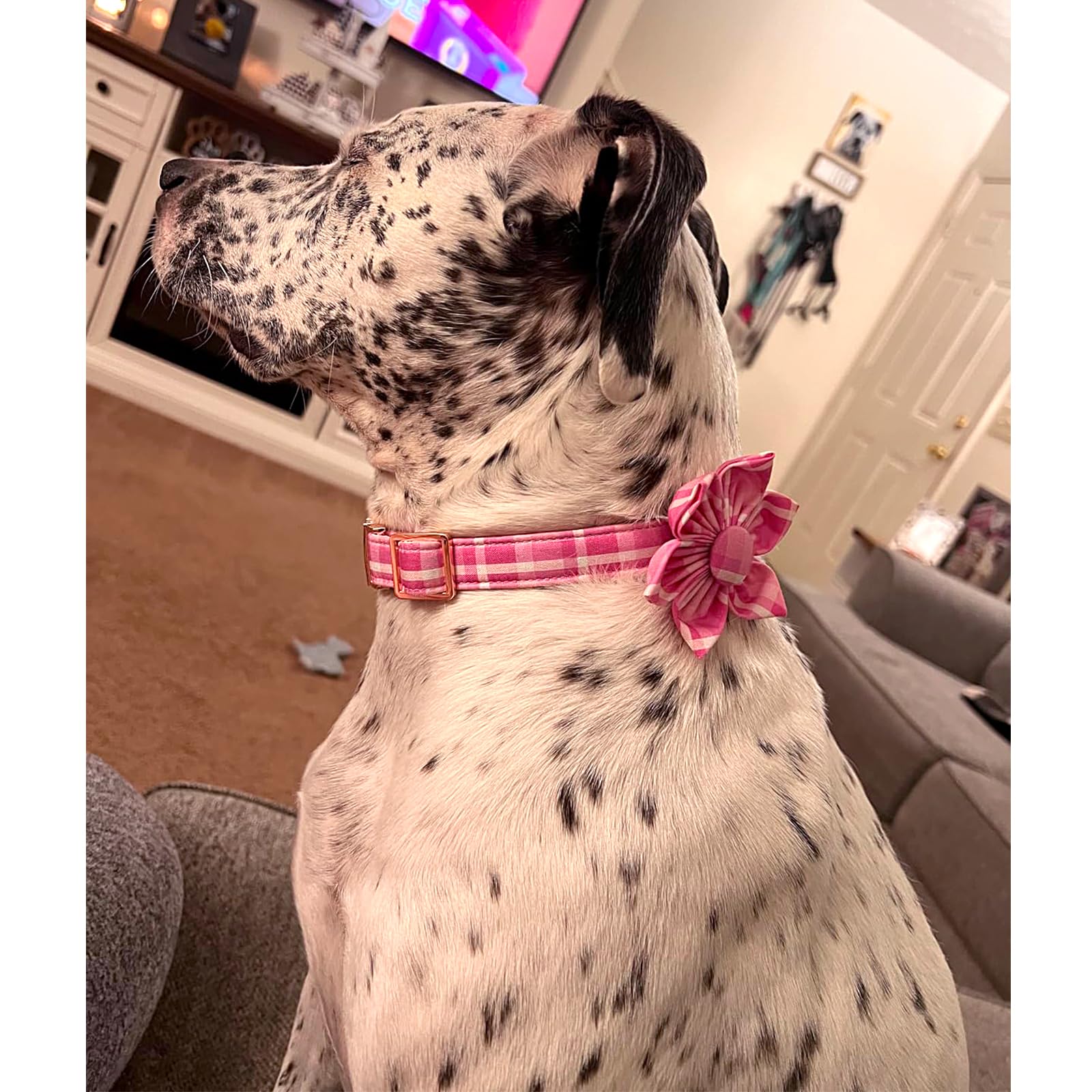 Lionheart Glory Cute Dog Collar, Pink Floral Dog Collar with Flower, Soft Adjustable Pet Collar for X-Small Dogs Puppy Girl/Boy