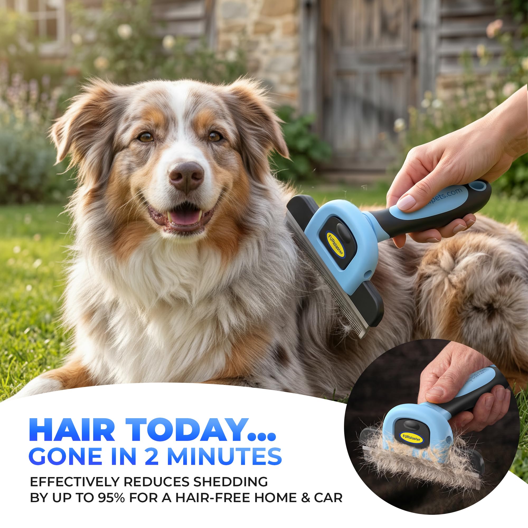 DakPets Dog Brush for Shedding – Stainless Steel Deshedding Dog Brush, Dog Grooming Brush & Deshadding Tool for Dogs & Cats, Remove Undercoat Hair for Short & Long Haired Dogs & Cats