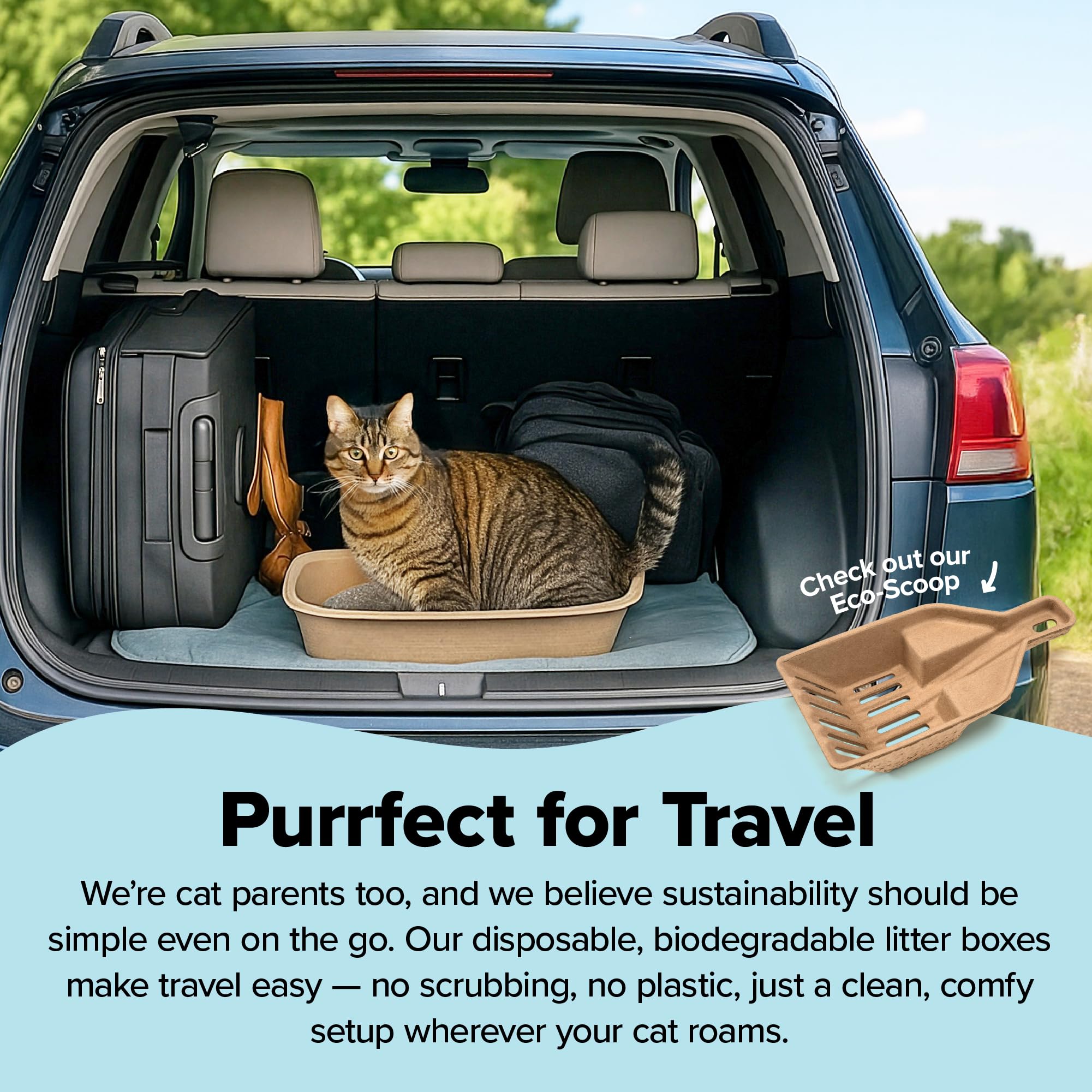 Kitty Sift Disposable Cat Litter Box Jumbo, 6 Count, Durable and Portable for Travel and Home, Eco-Friendly Disposable Litter Box Controls Odor