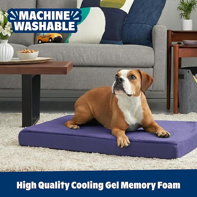 BarkBox Orthopedic Dog Bed - Small