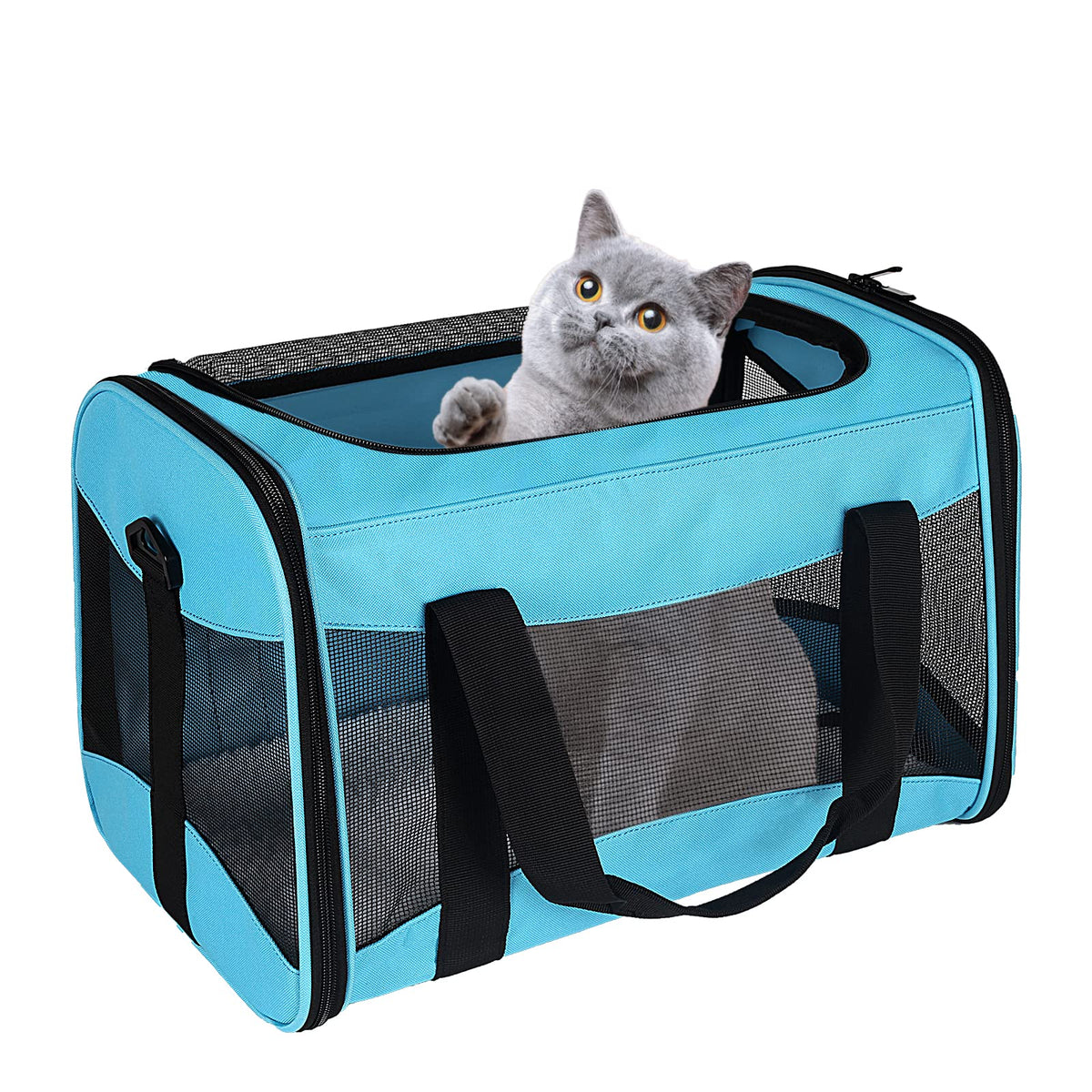 Cat Carrying Case - Pet Carrier Airline Approved, Protable and Breathable Pet Travel Carrier Removable Fleece Pad, Collapsible Cat Carrier Dog Carrier for Medium Cats Small Cats Dogs (Small, Black)