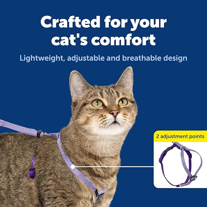 PetSafe Come with Me Kitty Harness and Bungee Leash Adjustable, Lightweight Harness for Cats Large, Lilac