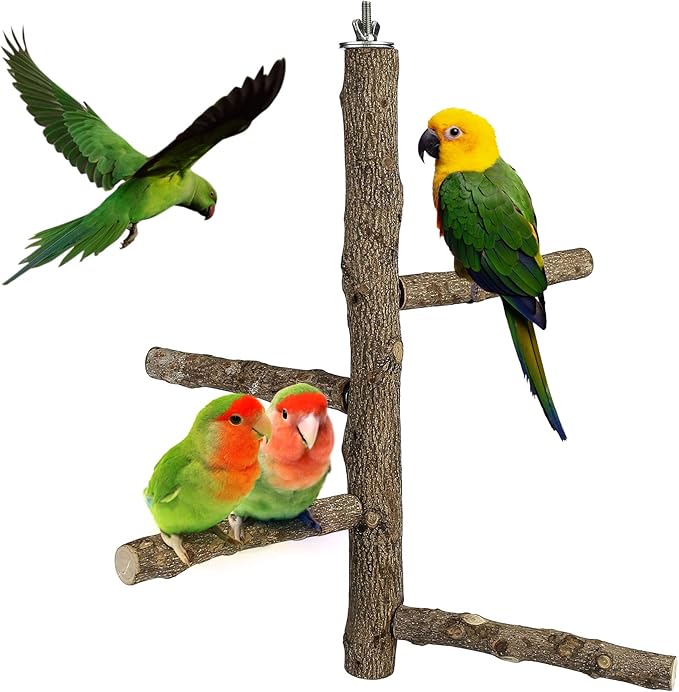 Filhome Bird Perch Stand Toy Natural Wood Bird Cage Branch Perch 14 Inch