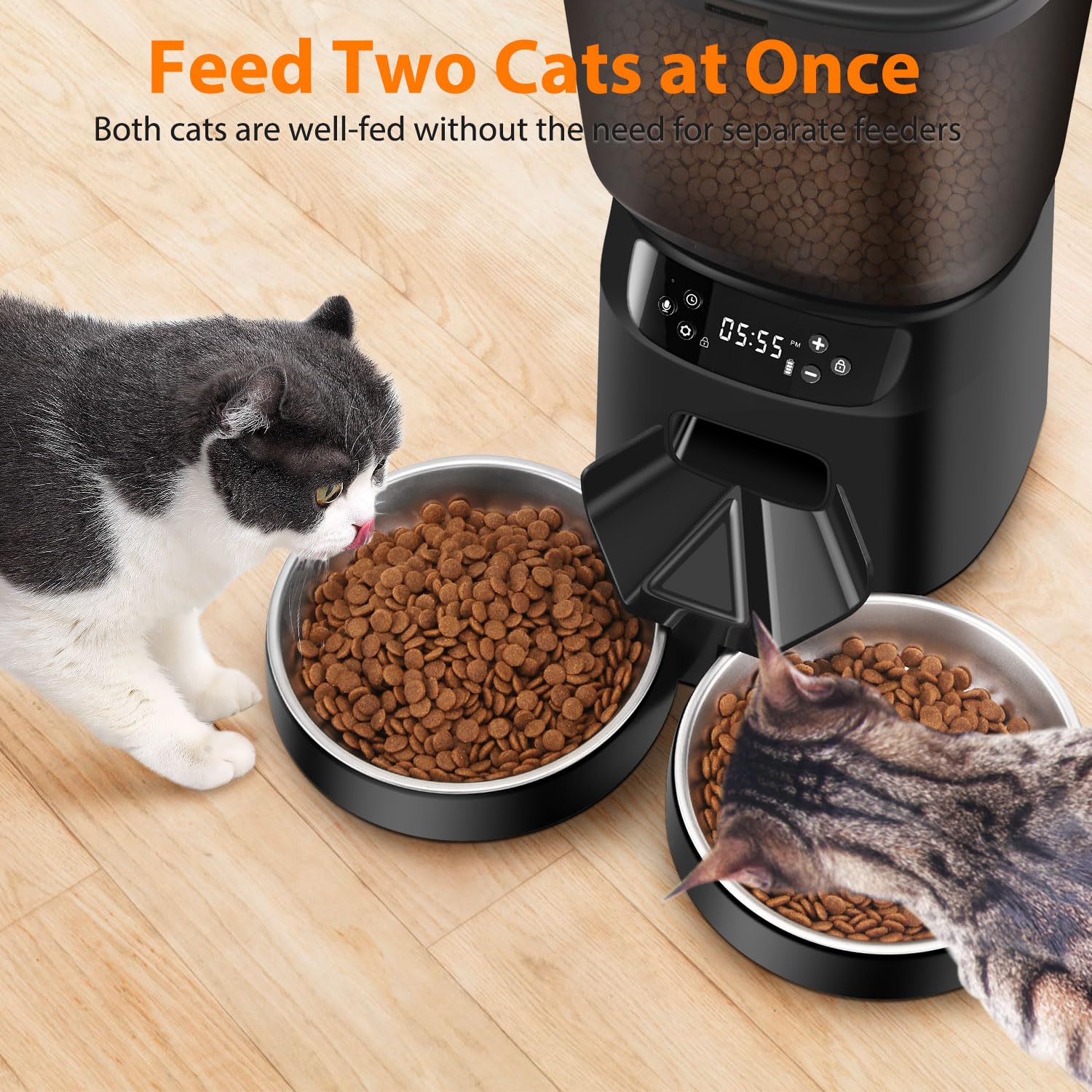 Automatic Cat Feeder