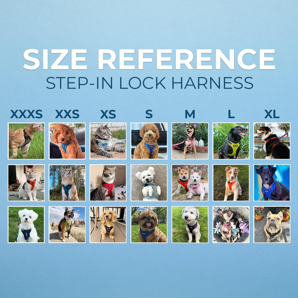 Voyager Step-in Lock Dog Harness - Turquoise, X-Small