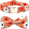Bobo Rainbow Fall Dog Collar, Pet Collar Bow Floral Pet Collar Girl Boy Holiday Collars Gift Bow Cute Soft Puppy Collars for X-Small