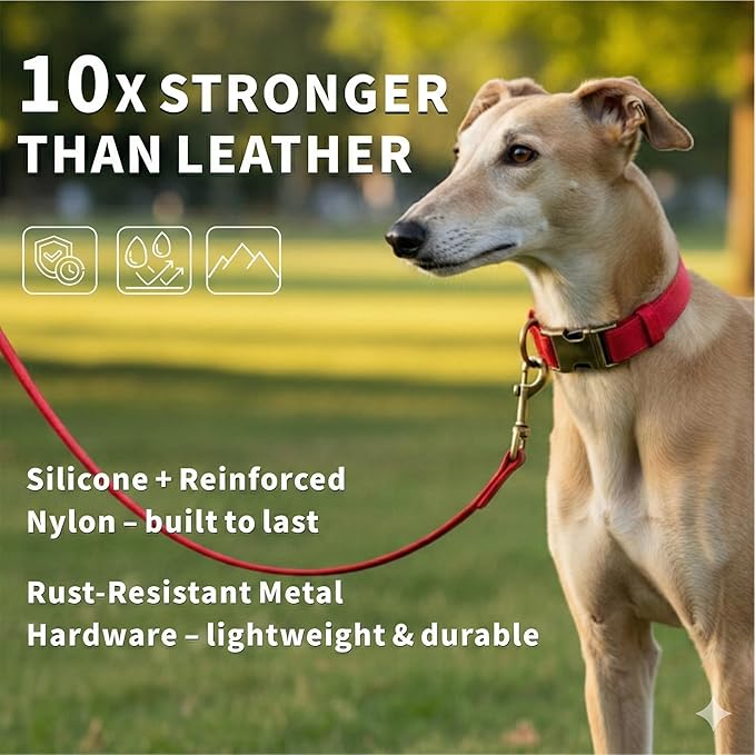 Silicone Dog Collar and Leash Set, Waterproof & Odor-Proof Puppy Collar for Small Dogs, Soft Flexible Leather-Look Dog Collars, Durable Thick Adjustable Pet Collar (Red, Large (16-24.5" Neck))