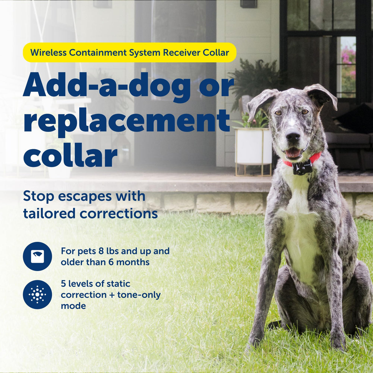 PetSafe Wireless Pet Containment System Collar