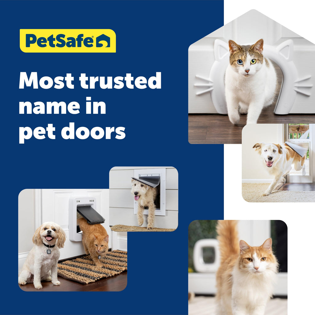 PetSafe Big Cat Door, Interior/Exterior, 4-Way Lock, Soft-Close, Up to 25lb