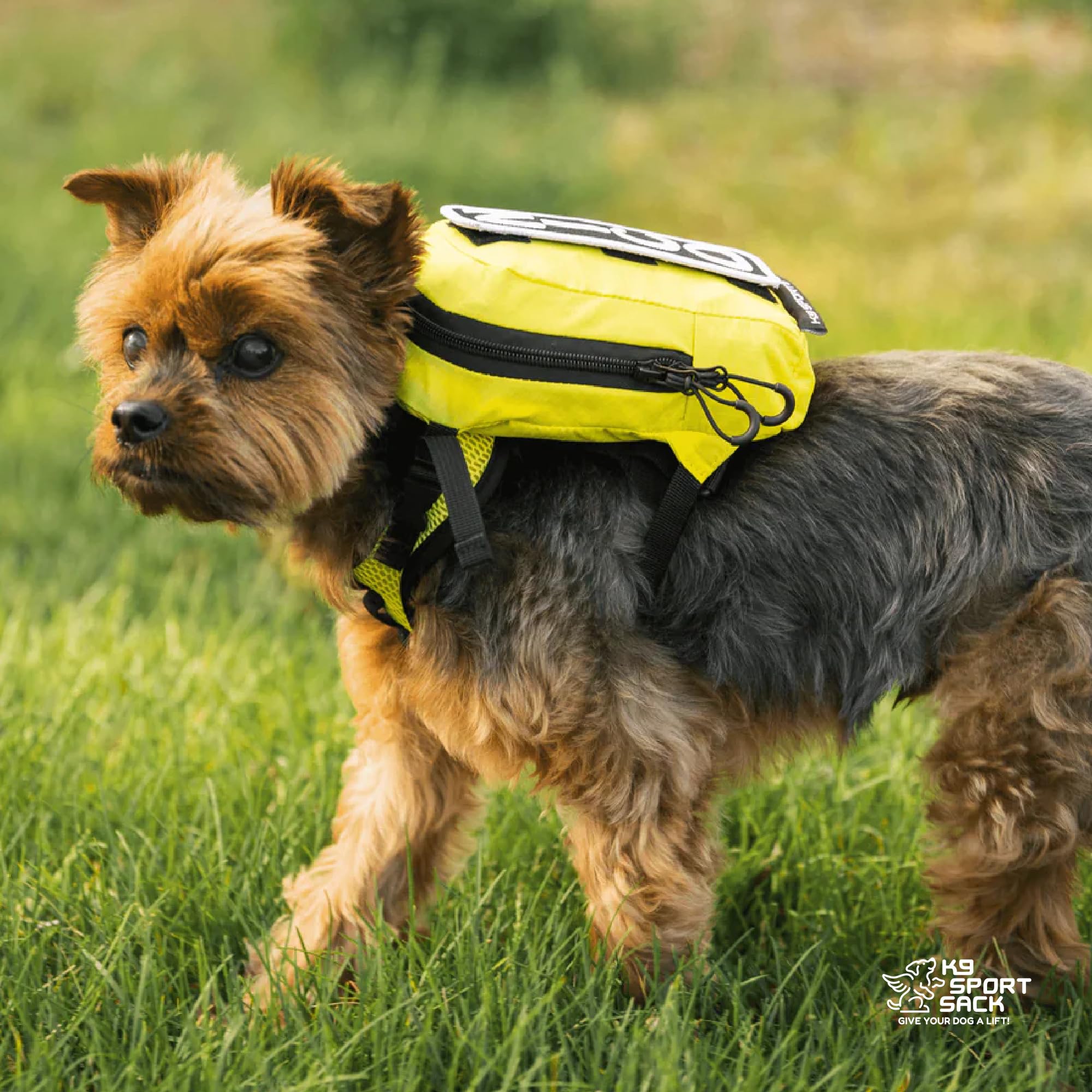 K9 Sport Sack Walk-On - X-Small, Buttercup Yellow - Ideal for Dogs with 9-12” Back Length - Lightweight, Packable, Backpack-Style Carrier - Includes Compatible Harness & Storage Bag