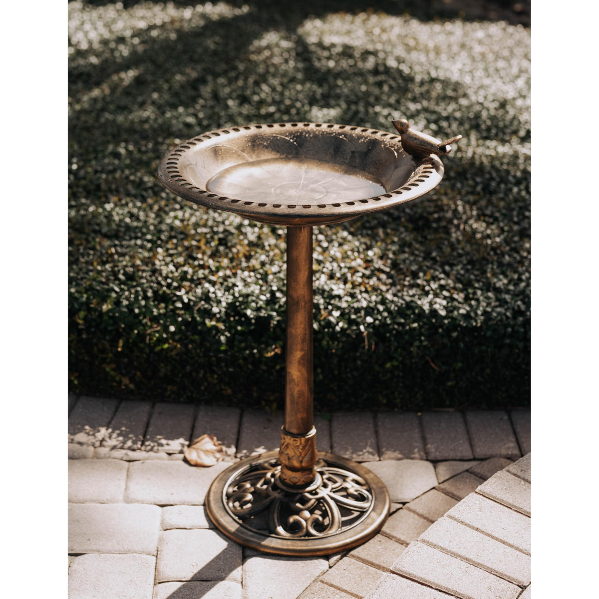 BACKYARD EXPRESSIONS PATIO · HOME · GARDEN 912449-WB Outdoor Garden Bird Bath- Bronze- Weather Resistant Polyresin-30 Inch-Backyard Expressions