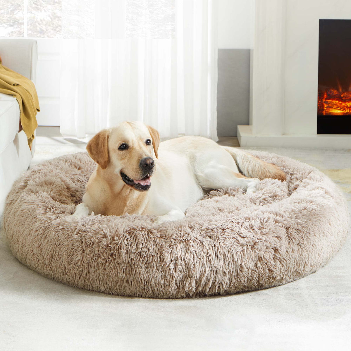 Western Home Calming Donut Small Dog Cat Bed Washable Puppy Bed,24" Rainbow