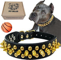 TEEMERRYCA Black Leather Dog Collar with Gold Spikes for Small Medium Large Pets, Pit Bulls/Bulldog, Keep Dog Safe from Grabbing by Huge Dogs, L(15"-18.5")