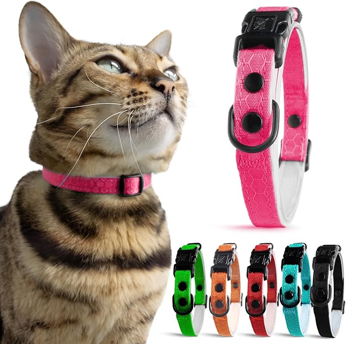 OutdoorBengal Breakaway Kitten Collar, Quick Release, No Bell (Orange, S)
