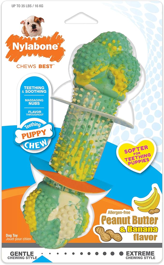 Nylabone Puppy Chew Double Action Bone Rubber Dog Chew Toy, Medium