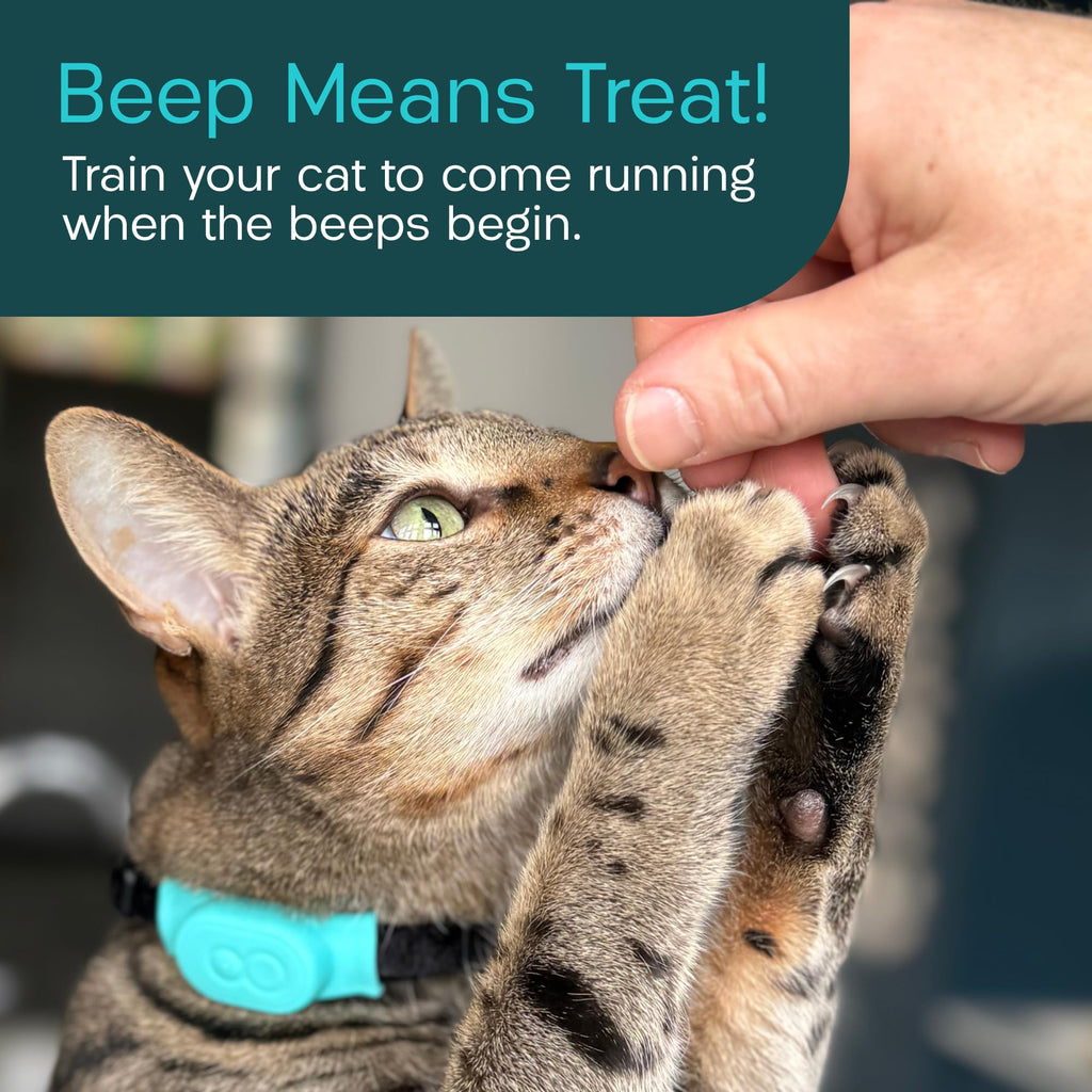 Tabcat V2 Cat & Kitten Tracker - More Accurate Than GPS - No Monthly Fee or Subscription - Includes 2 Homing Tags - Up to 150m Range - Small & Lightweight Tags Perfect to Find Indoor & Outdoor Cats