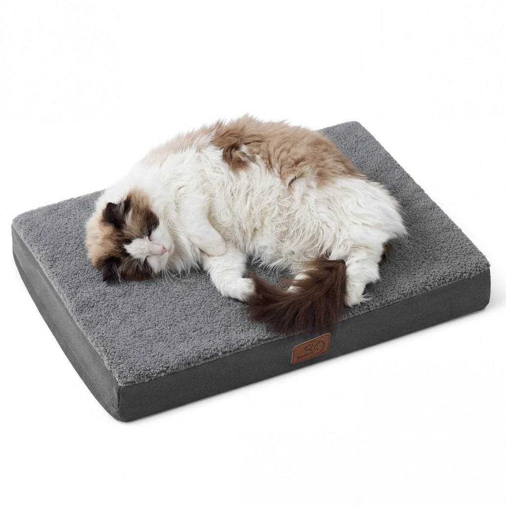 Bedsure Small Dog Bed, Cat Puppy Bed with Comfy Sherpa, 24"x16" Dark Grey