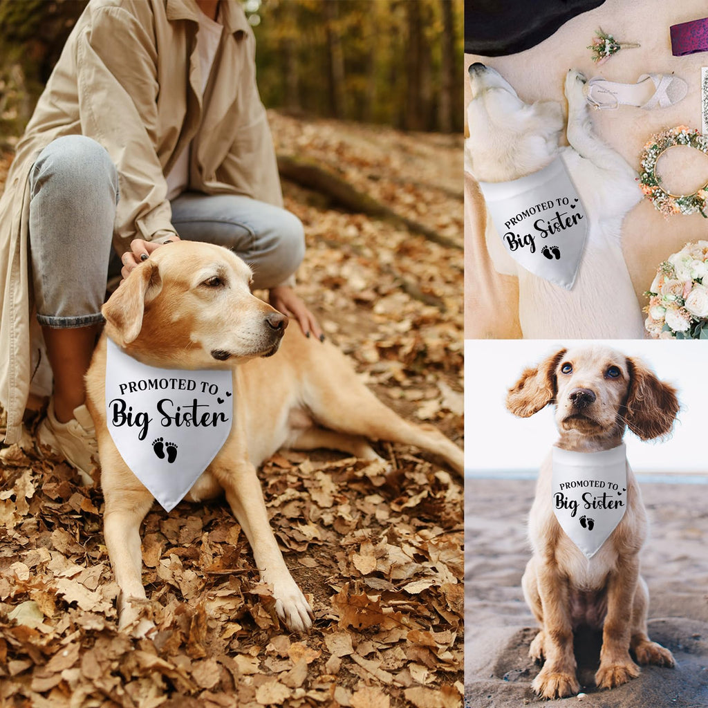 Promoted to Big Sister Pregnancy Announcement Dog Bandana Baby Gender Reveal Baby Announcement Photo Props Dog Scarf for Large Medium Small Dogs