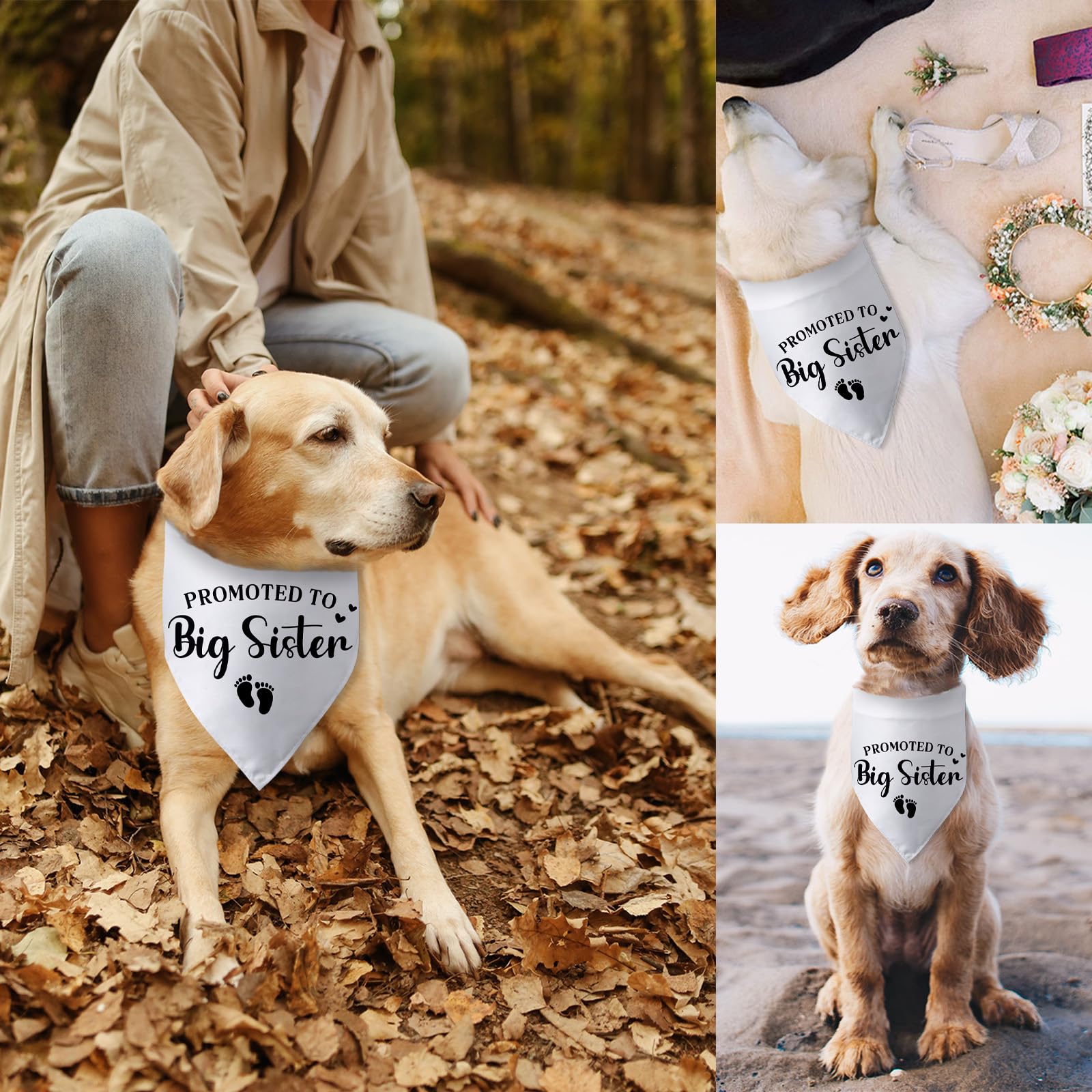 Promoted to Big Sister Pregnancy Announcement Dog Bandana Baby Gender Reveal Baby Announcement Photo Props Dog Scarf for Large Medium Small Dogs