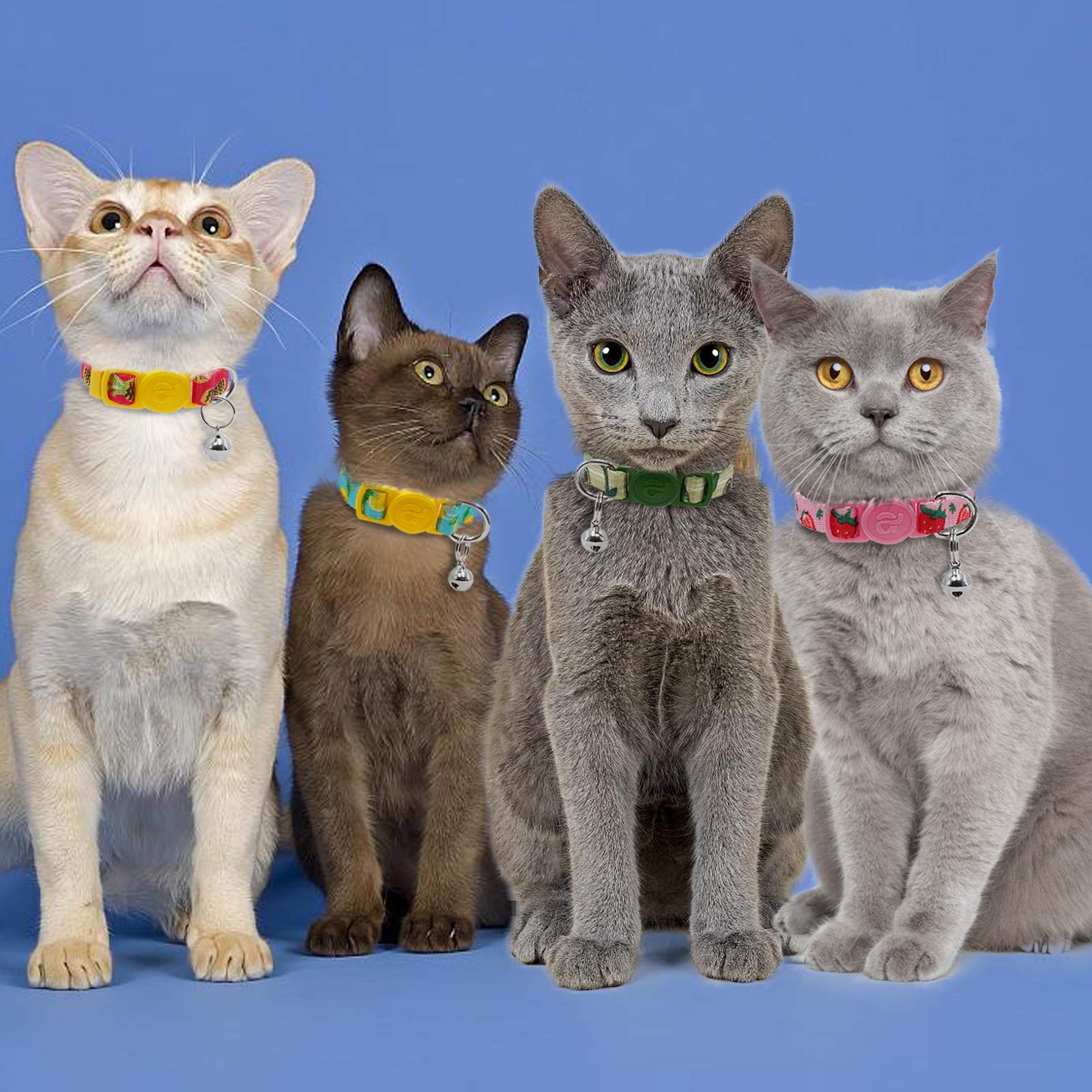 azuza 4 Pack Cat Kitten Collar Breakaway with Bell Quick Release Safe Buckle Adjustable Cat Kitten Collar
