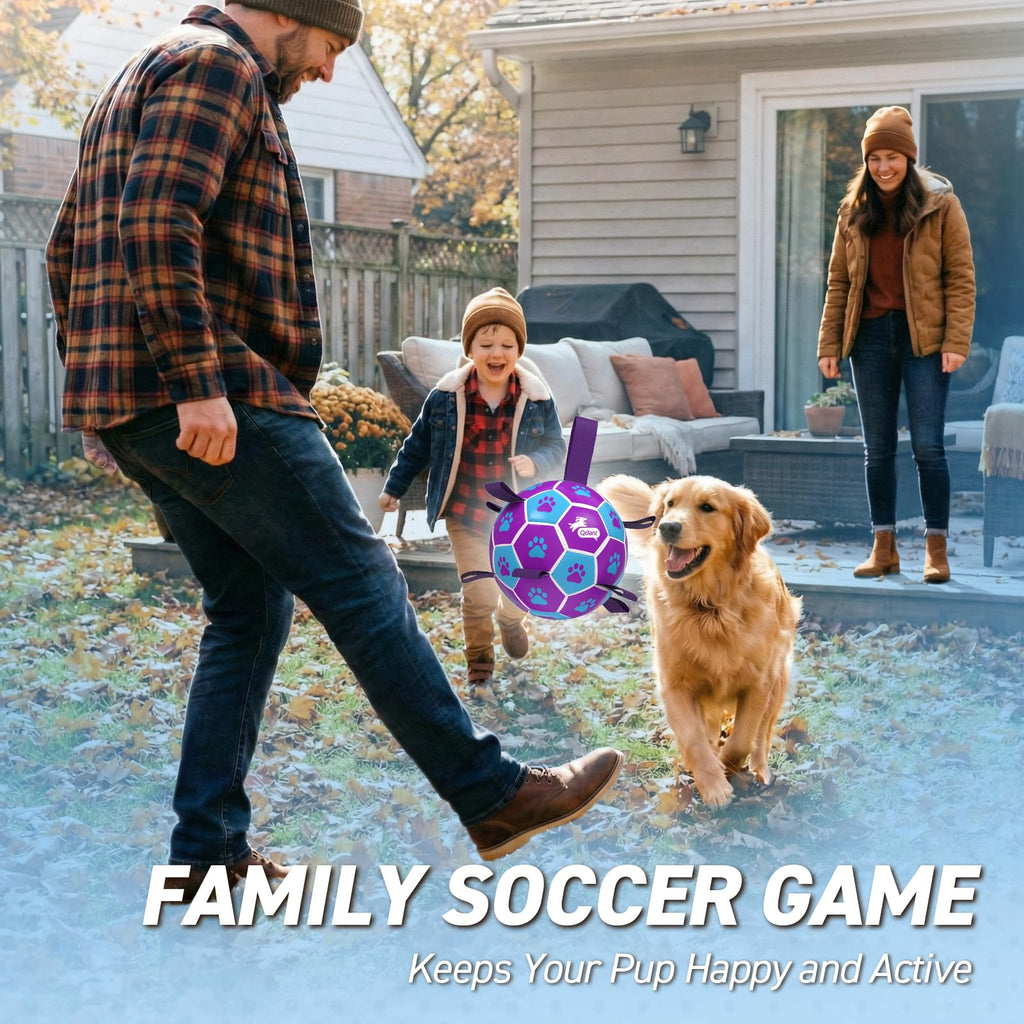 QDAN Dog Toy Soccer Ball, Durable Dog Balls for 30-90 lbs Small Medium Dogs