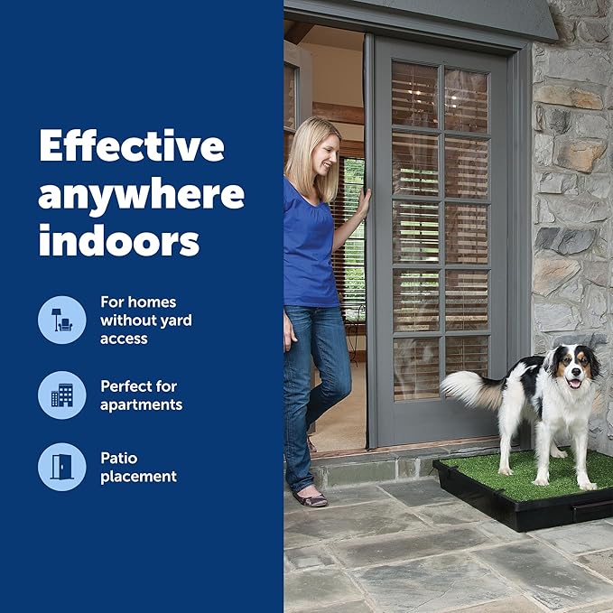 PetSafe Pet Loo Portable Dog Potty, Large