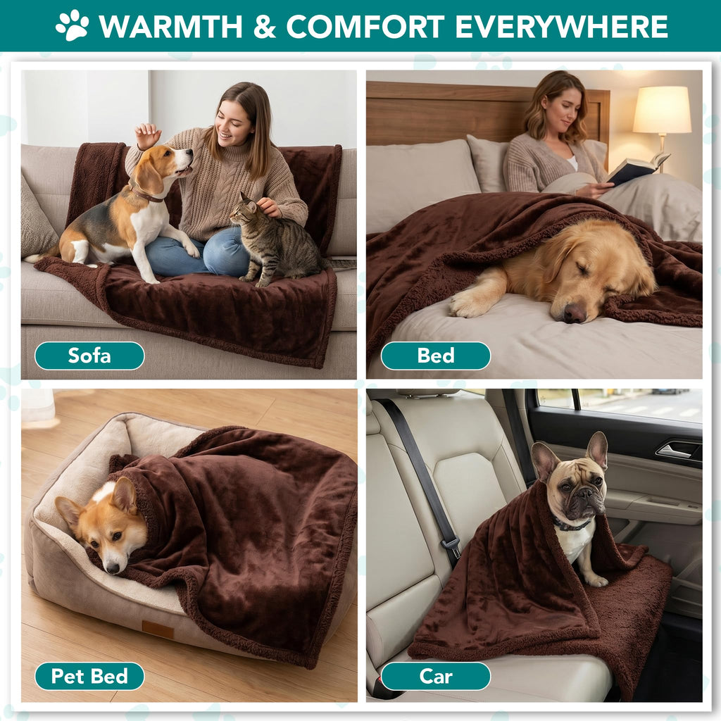 PetAmi Dog Blanket for Medium Small Pet Cat Puppy Kitten, 60x40 Solid Brown