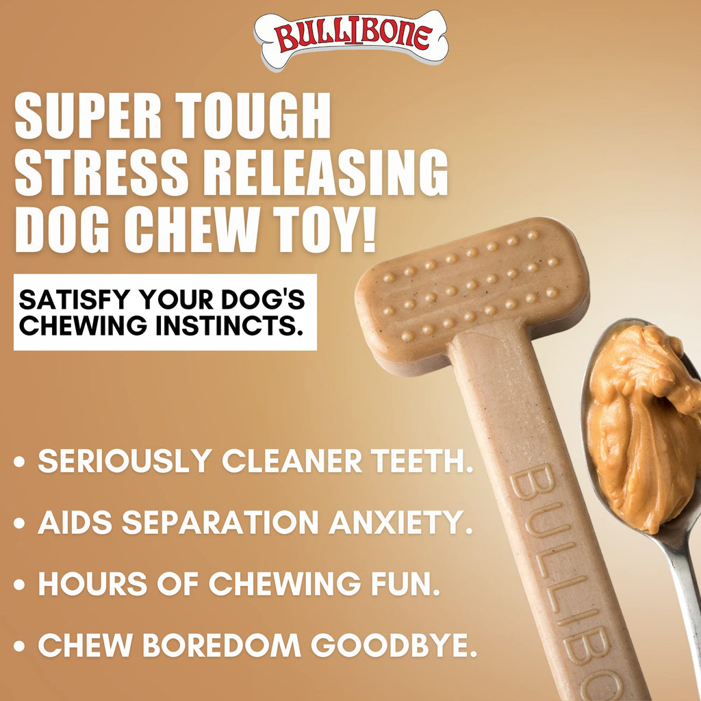Bullibone Nylon Dog Chew Toy for Aggressive Chewers - Dental Hygiene Bone with Peanut Butter Flavor, Durable Tough Chew Toys for Large Dogs, Indestructible Dog Bone - Single