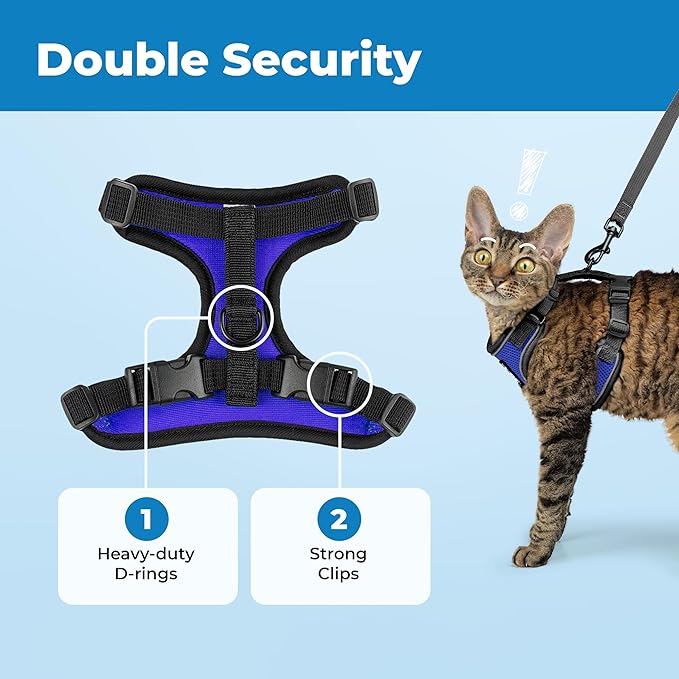 Voyager Escape-Proof Step-In Lock Cat Harness & 5ft Neoprene-Handle Leash Set All-Weather Mesh with Reflective Stitching For Small to Large Cats by Best Pet Supplies, Black Trim-Royal Blue (327), XXXS