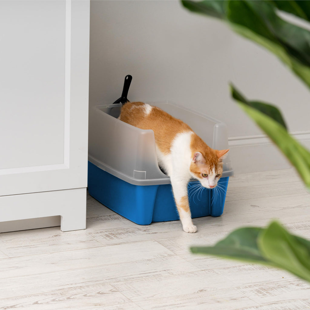 IRIS USA Large High Sided Cat Litter Box, Scatter Shield