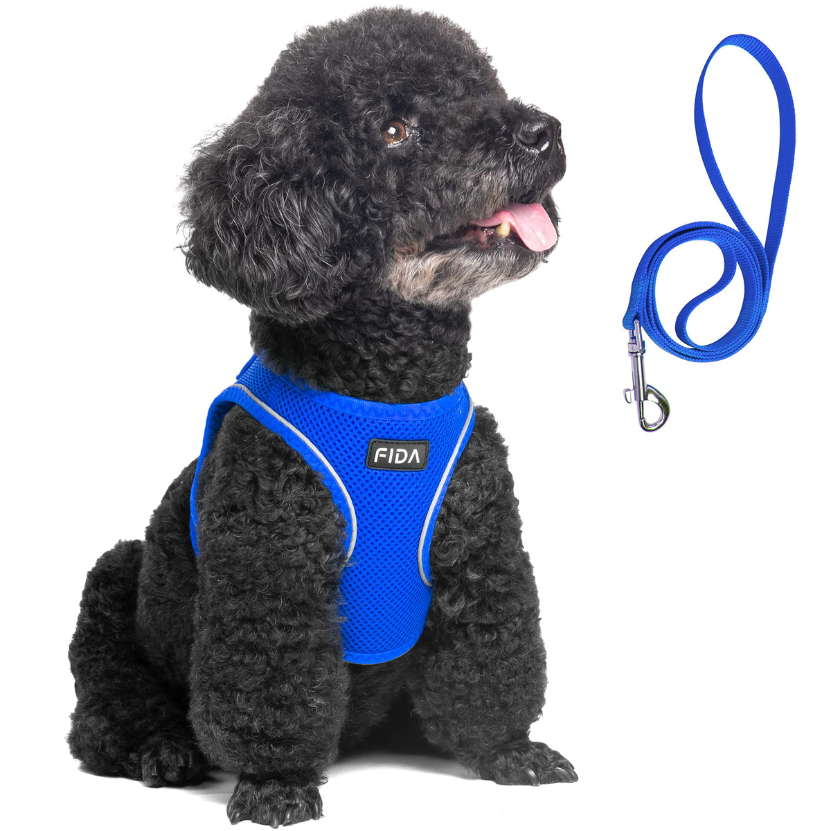 Fida Comfy Dog Harness with Leash, Soft Puppy Vest Escape Proof, Breathable Lightweight Soft Mesh, Adjustable Reflective Step-in Harness for Extra-Small Dogs (XS, Pink)
