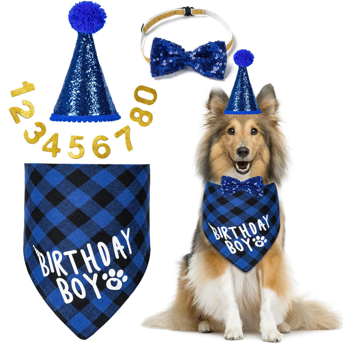 Hoewina Dog Birthday Party Supplies, Dog Birthday Decorations