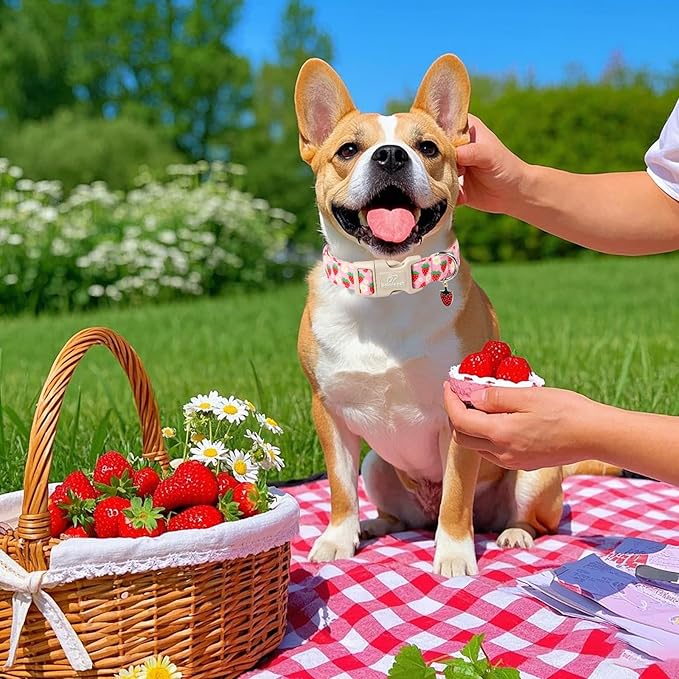 Babole Pet Cute Spring/Summer Dog Collar, Adjustable Pink Strawberry Dog Collars for Giant Large Dogs, Lightweight Quick-Release Buckle Collar for Boy&Girl Dogs XL
