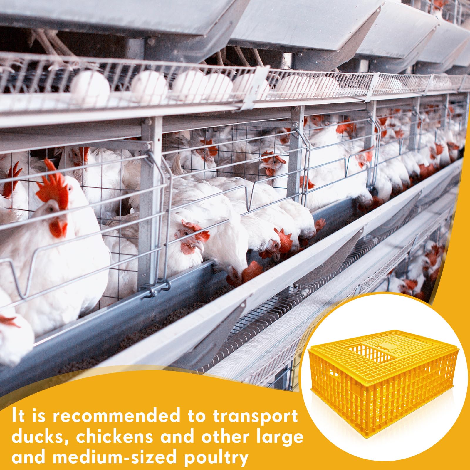 Sintuff Poultry Carrier Crate Plastic Chicken Transport Cage Bird Carriers Chickens Carrier Travel Crate Basket Box for Poultry Chicken Bird Duck Goose, 29.5 x 21.7 x 11.6 Inch(6 Pcs)