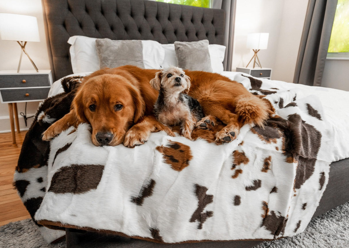 PAW BRANDS PupProtector Waterproof Throw Blanket, Polar White, 80x62
