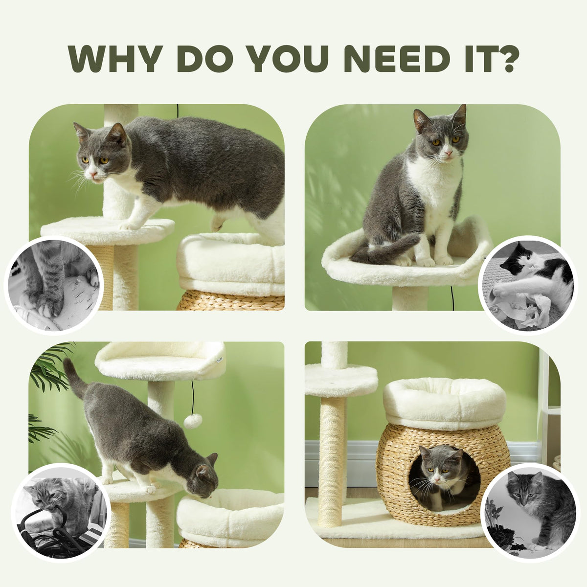 PawHut 31" Cat Tree for Indoor Cats w/Sisal Scratching Posts Cream White