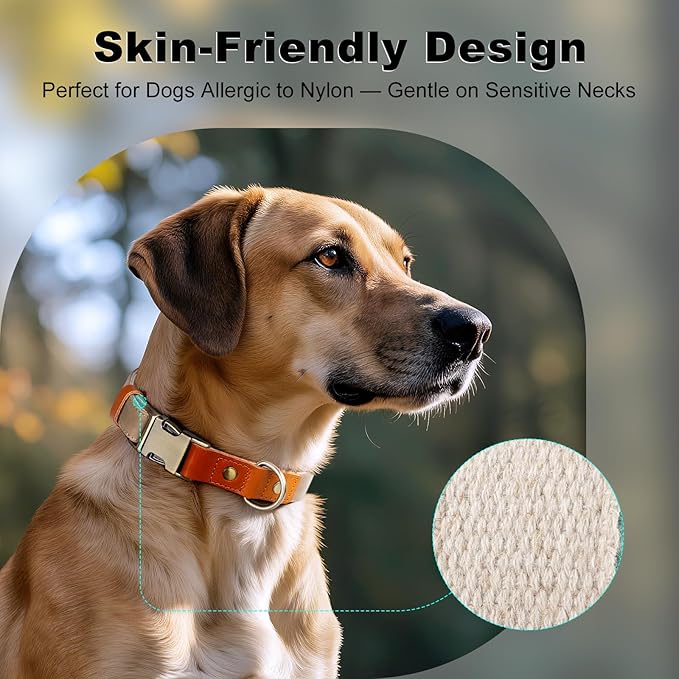 Plutus Pet Genuine Leather & Hemp Dog Collar – Adjustable Heavy Duty Pet Collar with Quick Release Metal Buckle, Soft & Stylish for Puppy and Small, Medium, Large Dogs (Ash Brown, L)