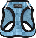 Best Pet Supplies - All Weather Mesh / Plush, Reflective, No Pull Harness for Small, Medium Dogs, Cats - Secure with Hook & Loop Fastener, Buckle, Double D-Rings - Baby Blue/Black Trim, XS