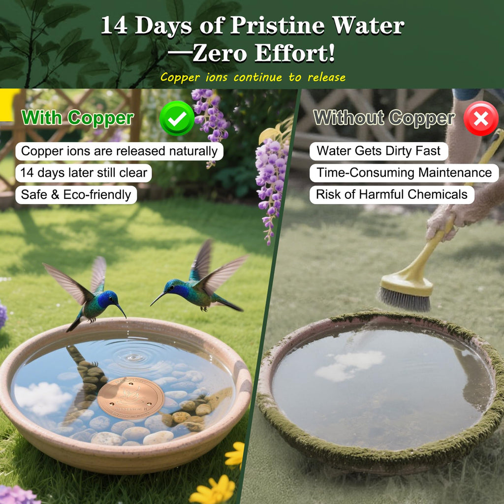 TIANCENTRAL H Bird Bath Copper Disk 2PCS-99.99% Pure Copper Cleaning Disk with Triple-Point Support 1mm Reinforced Water Purification Disk for Bird Baths,4 Inch