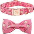 Elegant Little Tail Dog Collar with Bow, Adjustable Halloween Pumpkin Bowtie Pet Gift Collar for Small to Large Dogs