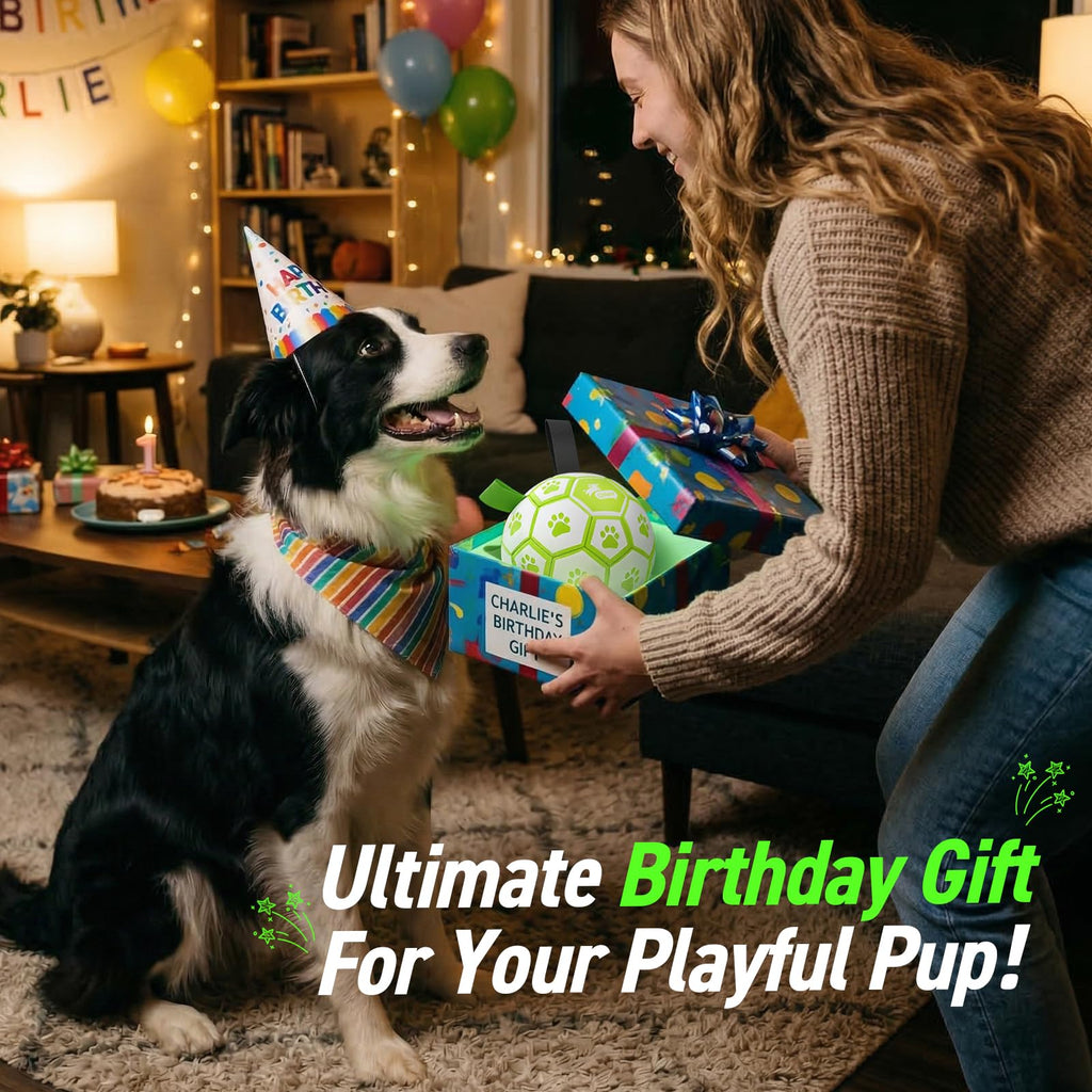 QDAN Glow in The Dark Dog Toys Soccer Ball with Straps, Outdoor Interactive Dog Toys Puppy Birthday Gifts, Dog Tug Water Toy, Light Up Dog Balls for Small & Medium Dogs（6 Inch Size 2）