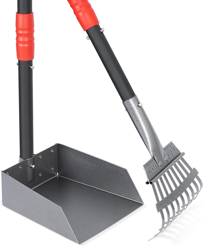 Dog Pooper Scooper, Dog Poop Tray and Rake Set with Long Stainless Handles