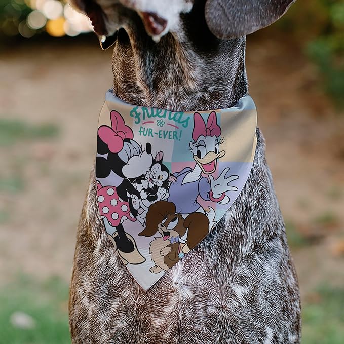 Disney Pet Bandana Slide On Slip Through