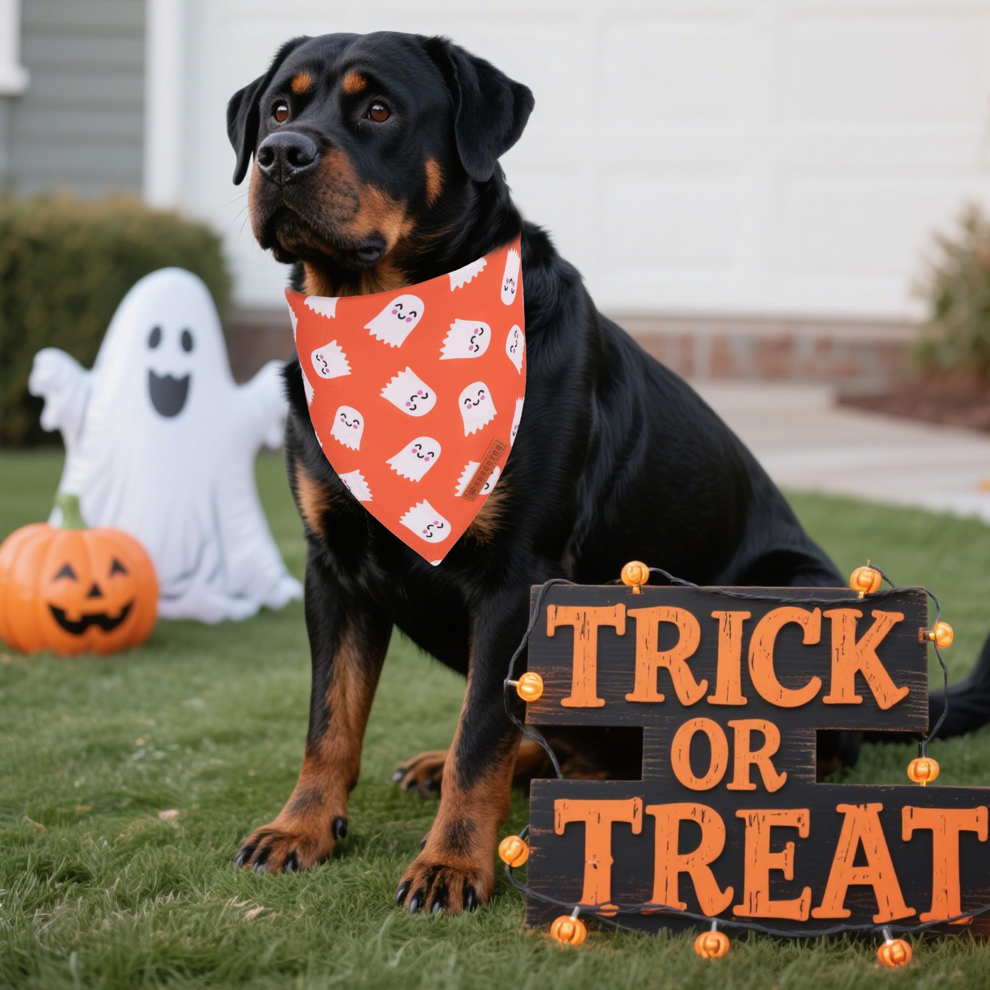 ADOGGYGO Halloween Dog Bandanas, 2 Pack Ghost Pumpkin Dog Scarf, X-Large